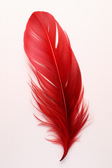 Red Feather Illustration, isolated feather with white background, delicate red feather. Minimalist nature art,
