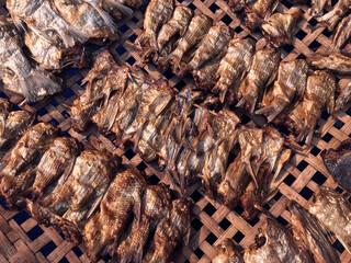 dried fish, dry fish image for preservation menu concept