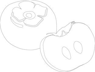 Sweet persimmons(line illustration)