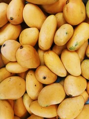mangoes in market