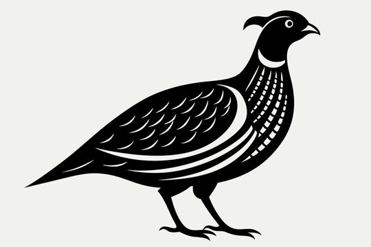 recommend clip art: Engraving style slim quail  silhouette black  vector art illustration