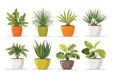 Fototapeta premium Different plant collection in pot for home decoration, isolated on a white background. Plant in pot vector illustration flowerpots set. Vector Set of different houseplants in flower pots