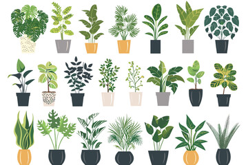 Different plant collection in pot for home decoration, isolated on a white background. Plant in pot vector illustration flowerpots set. Vector Set of different houseplants in flower pots