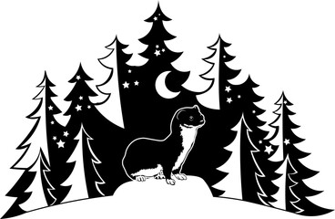 Fototapeta premium Forest Weasel