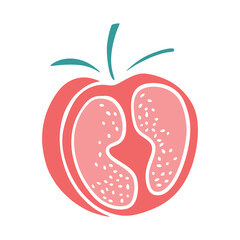 Tomato hand drawn. Red color vegetable vector illustration