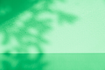 Wall interior background, studio and backdrops show products. with leaf shadow from window color beige and white. background for text insertion and presentation of product