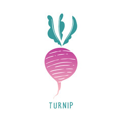 Stylized Turnip Illustration