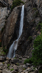 Obraz premium 628-94 Lower Yosemite Falls