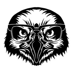 Fototapeta premium Hawk In Glasses
