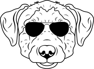 Huntaway In Sunglasses