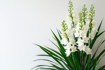 Fototapeta premium A bouquet of elegant white flowers with green leaves against a light background.