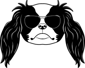 Japanese Chin In Sunglasses