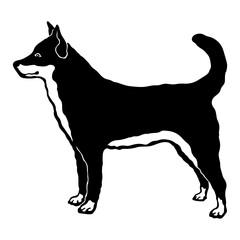 Jindo