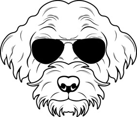 Labradoodle In Sunglasses