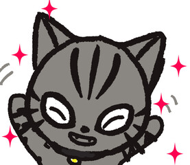 Cat smile
