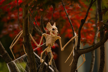 Halloween outdoor decorations. Halloween pumpkin and skeleton for decorated house. Scary Decorated at front yard of a American home. Trick or treat. Halloween background. Autumn holiday of Halloween.