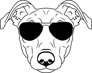 Lurcher In Sunglasses