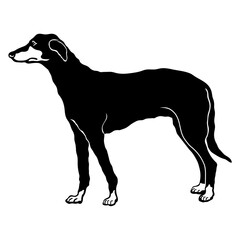 Lurcher