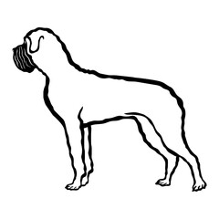 Mastiff