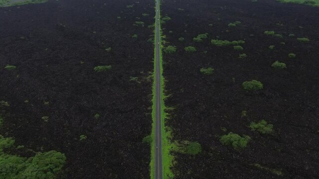 Stories of the Ceboruco volcano cover the black magma road with frozen rocks. green roads