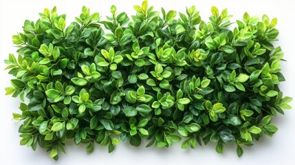 Fototapeta premium Lush Green Foliage Generative AI