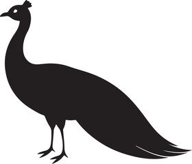 Peacock Silhouette - Majestic Bird with Elaborate Peacock colourful Vector Design logo  Black and white silhouette peacock vector illustration. Silhouette illustration of a peacock Tail Display on Whi