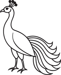Peacock Silhouette - Majestic Bird with Elaborate Peacock colourful Vector Design logo  Black and white silhouette peacock vector illustration. Silhouette illustration of a peacock Tail Display on Whi