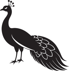 Peacock Silhouette - Majestic Bird with Elaborate Peacock colourful Vector Design logo  Black and white silhouette peacock vector illustration. Silhouette illustration of a peacock Tail Display on Whi