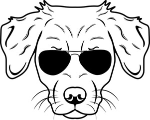 Nova Scotia Duck Tolling Retriever In Sunglasses