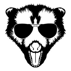 Opossum Angry In Sunglasses