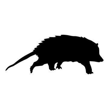 recommend clip art: Opossum Silhouette