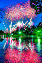 夜空を染める夏花火