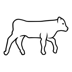 Baby Cow  Outline