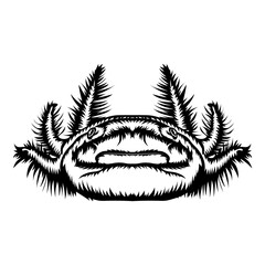 Axolotl Face