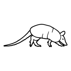 Baby Armadillo Outline