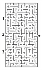 Black and White Medium Difficulty Maze Puzzle for Kids with 3 Entrances and 1 Exit - Printable Vector Illustration