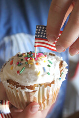 USA American White Cupcakes with Colorful Confetti Sprinkles and Miniature Flag Patriotic Cupcake Toppers
