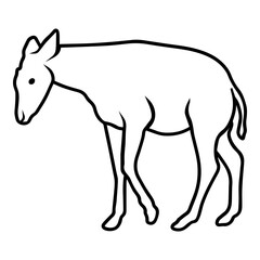 Baby Okapi Outline