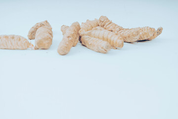 Turmeric or turmeric (Curcuma longa)