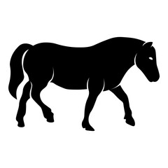 Obraz premium Baby Pony