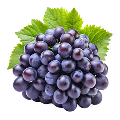 Fototapeta premium Fresh black grapes Isolated white background