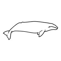 Obraz premium Baby Whale Outline