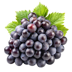 Fototapeta premium Fresh black grapes Isolated white background