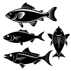 set of fish, fish vector,  isolated white background 