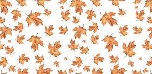 Seamless Pattern Autumn Bright Maple Leaves. Watercolor Succulent Illustration. White Background. For Home Textiles, Wallpaper, Packaging, Website Design, Blogs, Postcards