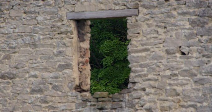 wide shot of dialect stone building window with background tree foliage in focus, next to Peakshole water stream in the hope valley, Castleton.