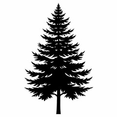 Pine tree silhouette vector illustration. Christmas tree on white background