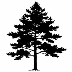 Pine tree silhouette vector illustration. Christmas tree on white background