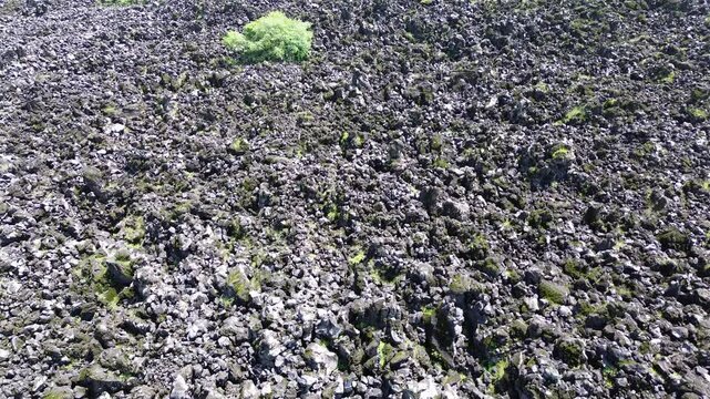Stories of the Ceboruco volcano cover the black magma road with frozen rocks.
