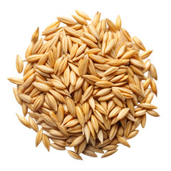 Grain of oats Isolated white background